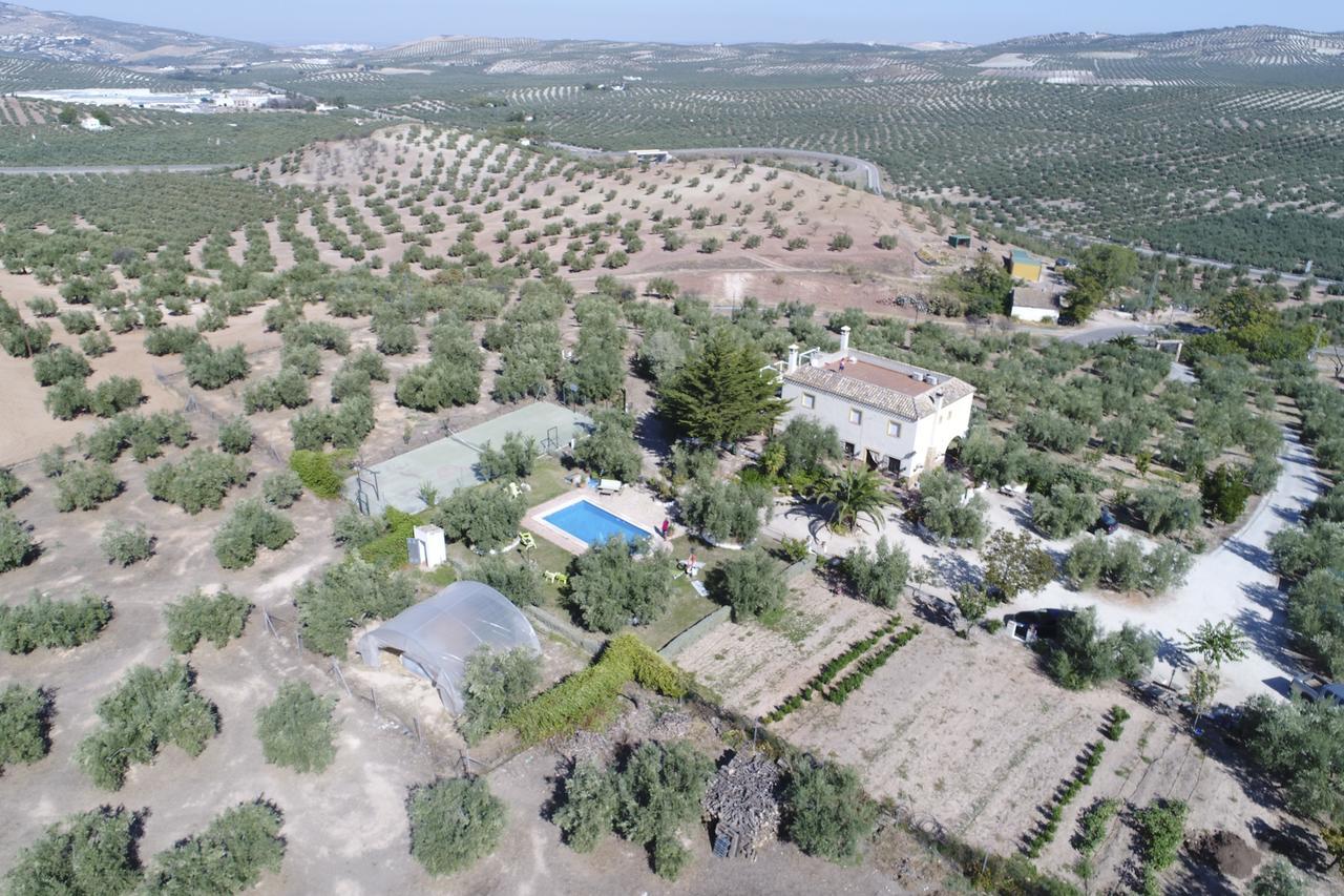 Luque Agroturismo Ecologico El Cortijillo מראה חיצוני תמונה