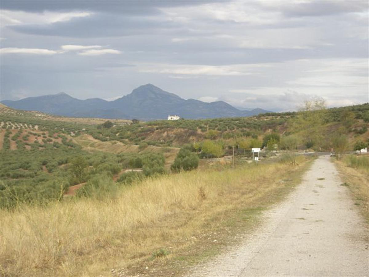Luque Agroturismo Ecologico El Cortijillo מראה חיצוני תמונה